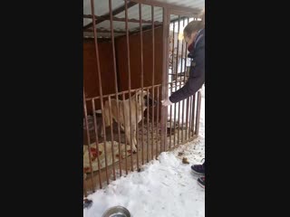 video 爱足美脚社美脚踩踏社区字母圈艾斯爱慕免费视频大全女王踩踏免费视专区提供国内s mov 0753 mp4 sex