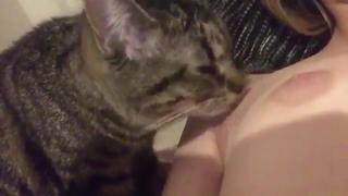 video киса лижет киску 18 кошечка сосочки титьки влажная sex