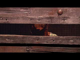 video смертельная игра смертельная тень теневые марионетки shadow puppets 2007 майкл уинник hd sex
