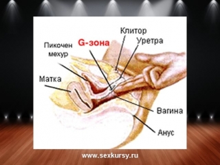 video как пробудить точку g сквирт sex