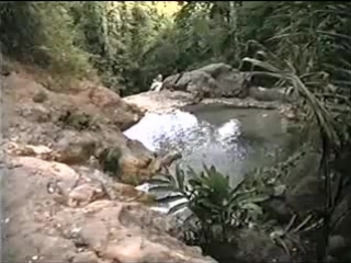 video wide sargasso sea широкое саргассово море 1993 sex