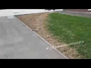 video альметьевск самоизоляция sex