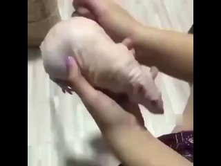 video когда остались с девушкой наедине sex
