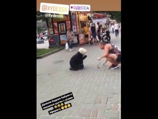 video в одессе у бабки которая попрошайничает на улице выросли усы а сама бабка превратилась в цыгана sex
