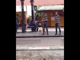 video сэр разрешите подурачиться sex