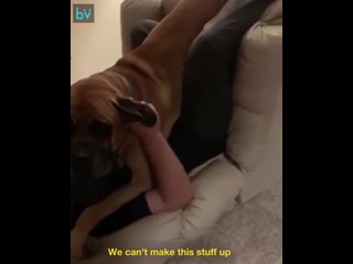 video молодые опрокинула кресло sex