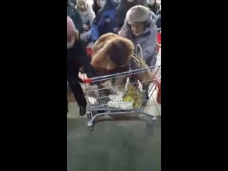 video видео от ансамбль христа спасителя и мать сыра земля sex