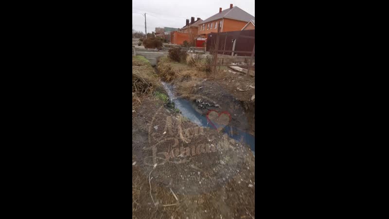 video свинья сливает свои испражнения в ерик г батайск sex