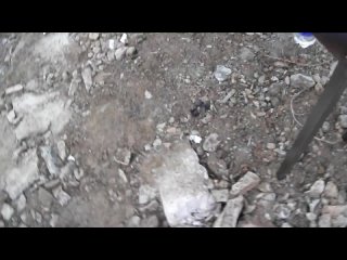 video на вписке подписчиков hh челябинск sex