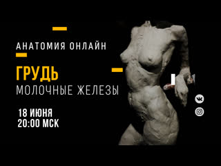 video грудь молочные железы образовательный прямой эфир sex