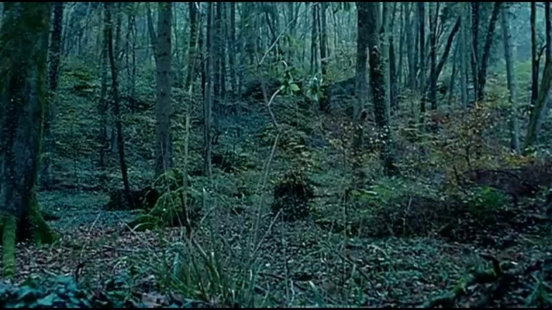 video лунный свет moonlight les proies 2002 sex