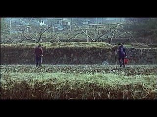 video одинокая корова плачет на рассвете a lonely cow weeps at dawn chikan gifu musuko no yome to 2003 sex