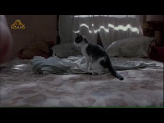 video голая келли линч kelly lynch теплый летний дождь warm summer rain 1989 sex