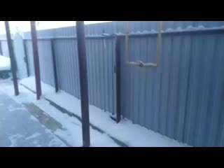 video fuck mov 0142 mp4 sex