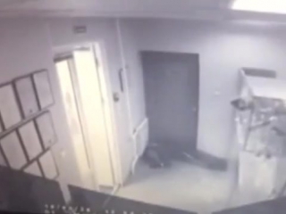 video ограбление ломбарда в новосибирске sex