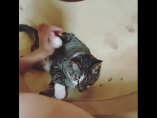 video xxxxvaio waveya ari on instagram 070716 sex
