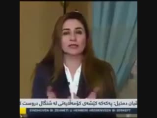 video виян дахиль езидка член иракского парламента мы курды sex
