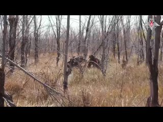 video завершение командно штабных учений рвсн sex