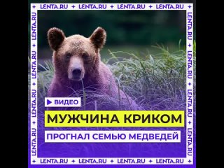 video мужчина криком прогнал семью медведей sex