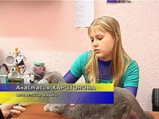 video шотландские вислоухие плюшевые мишки sex