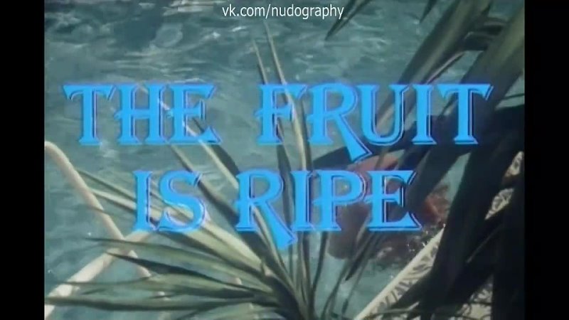 video бетти верже betty vergès в бассейне в фильме греческая смоковница griechische feigen the fruit is ripe 1977 sex