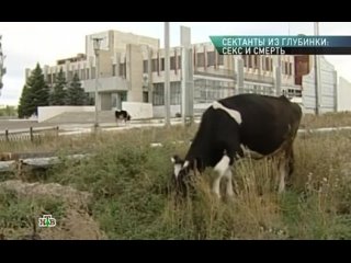 video профессия репортер сектанты из глубинки секс и смерть 27 09 2014 sex