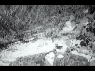 video нерассказанная история сша фильм оливера стоуна 6 я серия 14 12 2014 sex