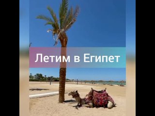 video slave vid 227511218 074337 638 mp4 sex