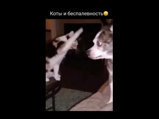 video видео от подсмотрено и подслушано парковый пермь sex