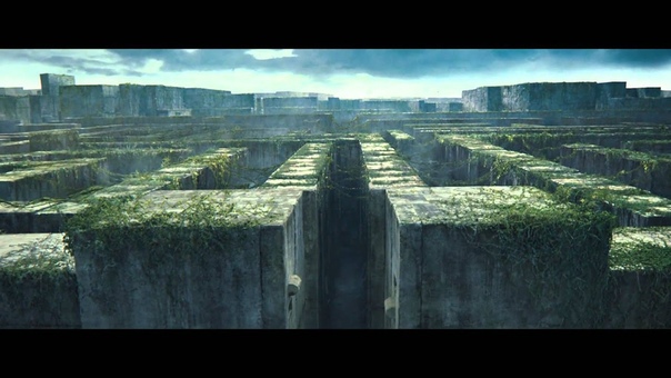 video бегущий в лабиринте the maze runner автомобильный кинотеатр кинодром зеленоград sex