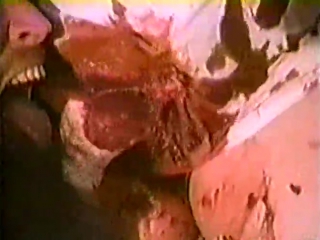 video подполье 2 2003 скандальный фильм sex