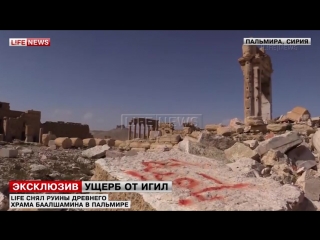video учёные ждут окончания боёв в пальмире чтобы оценить урон наследию sex