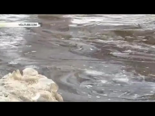 video кругом нефть экологическое чп произошло в коми sex