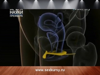 video 3 урок клиторальный оргазм sex