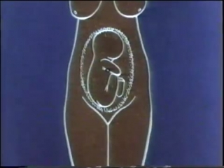 video исследования беременной в третьем триместре study pregnant sex