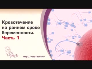 video кровотечения на ранних сроках беременности sex