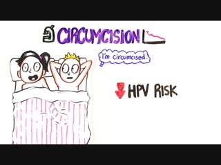 video обрезанный против необрезанного каким быть лучше asapscience sex