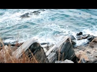 video miela мир без границ tvmchannel музыкальная пауза rushits sex