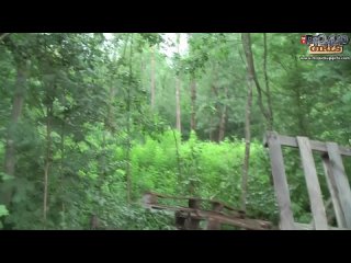 video эрик и его друг трахают в жопу алику sex