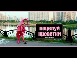 video поцелуй креветки короткометражный фильм короткий метр sex