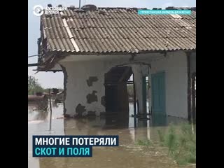 video дома в казахстане остались под водой из за прорыва дамбы в узбекистане sex