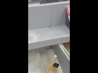 video природу не обманешь в киевском супермаркете кот решил справить нужду в весовой сахар sex