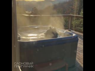 video bear takes a relaxing soak sex