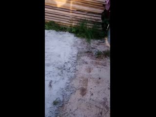 video 高颜值白富美女神主播声音甜美奶子硕大阴毛稀疏私处粉嫩诱人包一晚不知道多少钱对白清晰 mov 0460 mp4 sex