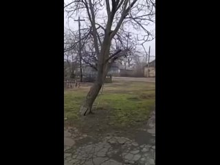 video андрееа волновахского района перешла под контроль днр sex