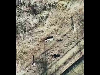 video очередное преступление молодые на кадрах с вражеского коптера видно что секс убивают эвакуационную группу вместе с sex