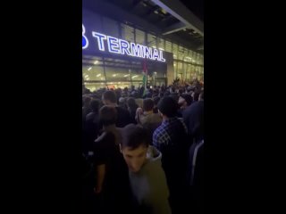 video инспирированные украинскими ципсо протесты докатились до аэропорта махачкалы где сейчас творится вакханалия как sex
