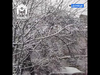 video наконец то до донецка добралась нормальная зима такой новогодний вайб сейчас царит в столице республики правда sex