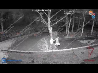 video романтический пикник на братской могиле в калининграде пара туристов из ижевска распивала алкоголь танцевала sex