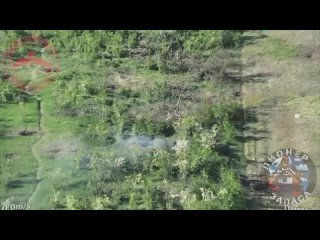 video севернее работино кто то решил устроить праздничные шашлыки из свининки наши бойцы не могли отказать в таком деле sex